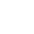 shopping bags icon